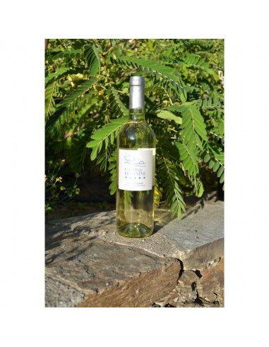 COTES DE PROVENCE CAMP DU DOMAINE AOP BLANC - Vins & Champagne COTES DE PROVENCE CAMP DU DOMAINE AOP BLANC - Vins & Champagne