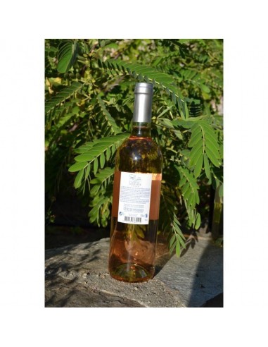 COTES DE PROVENCE CAMP DU DOMAINE AOP ROSE - Vins & Champagne COTES DE PROVENCE CAMP DU DOMAINE AOP ROSE - Vins & Champagne